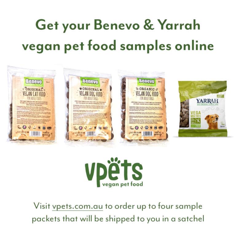 Free Benevo & Yarrah Vegan Dog and Cat Food Samples vpets