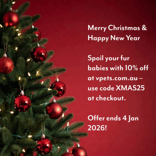 Christmas 2025 and New Year 2026 Sale